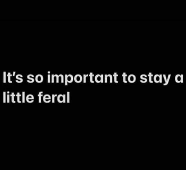 This meme is a simple, black-and-white image with white text. The text reads "It's so important to stay a little feral" in a straightforward, bold font. The phrase is presented as a humorous, tongue-in-cheek commentary on the importance of maintaining a certain level of wildness or individuality in one's life.